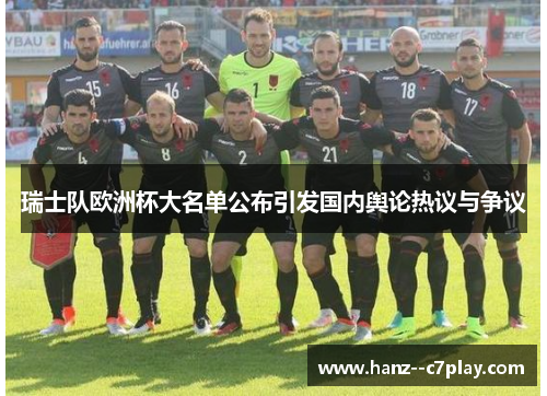 瑞士队欧洲杯大名单公布引发国内舆论热议与争议 瑞士队欧洲杯大名单公布引发国内舆论热议与争议